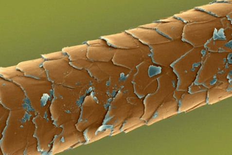 The regulation of damaged hair care